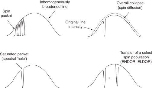 The Research Timeline: From Disc Experiments to Tablet Proof-of-Concept - visual representation