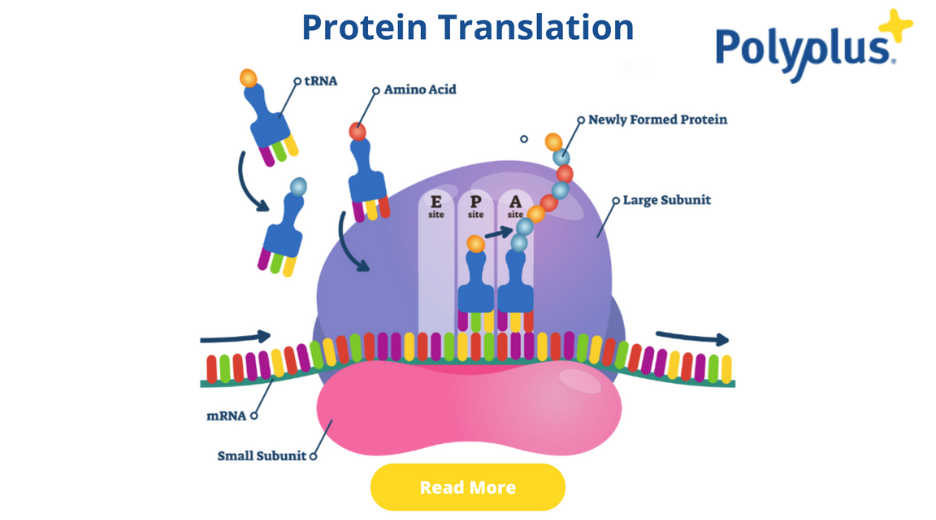 The Optimization Translation Problem: Why Automation Matters - contextual illustration