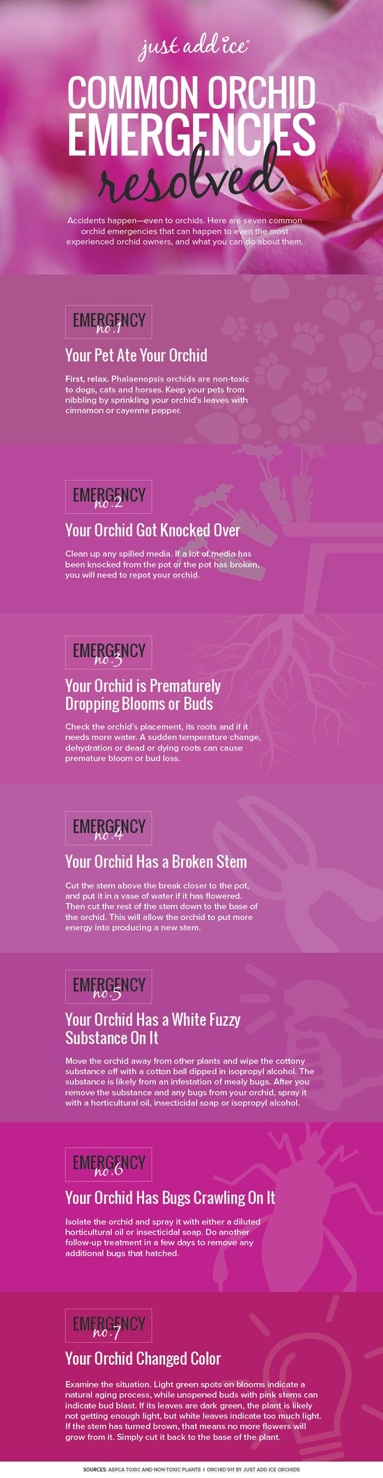 Common Pitfalls and Solutions - contextual illustration