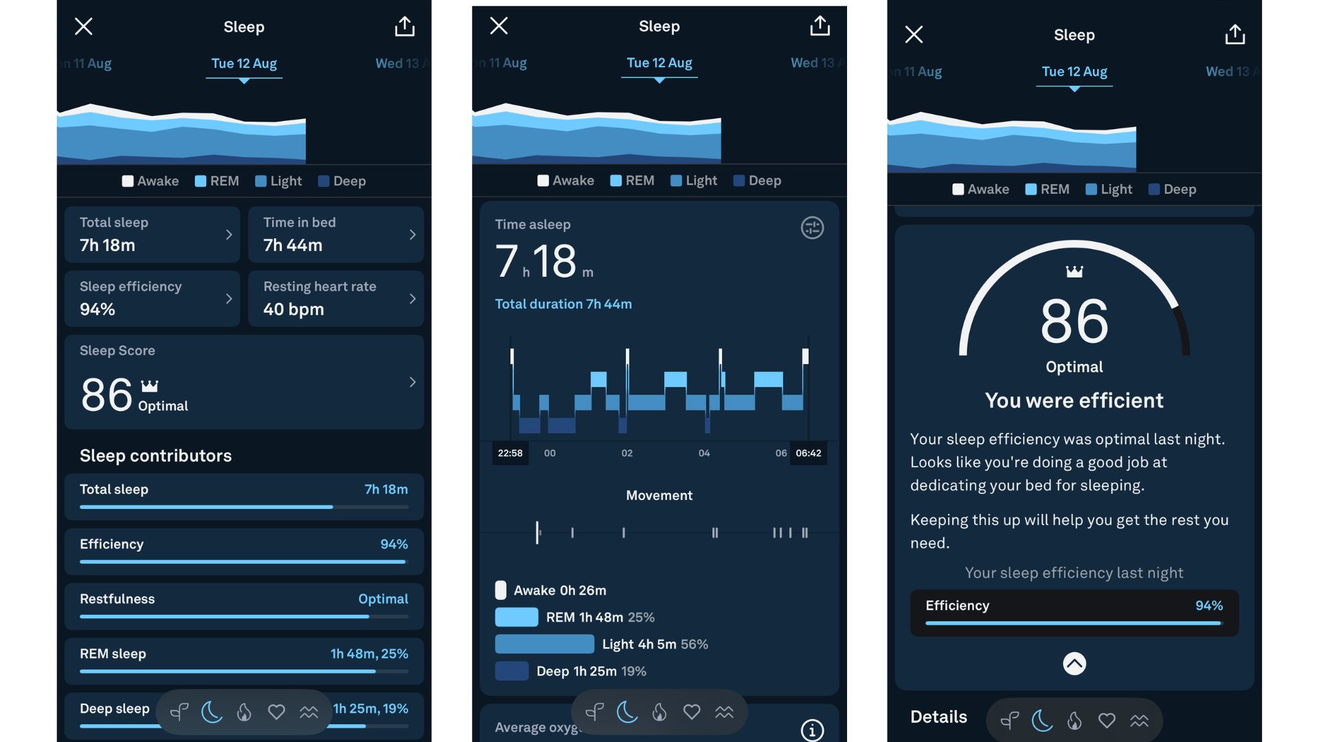 Potential Issues and Limitations - visual representation