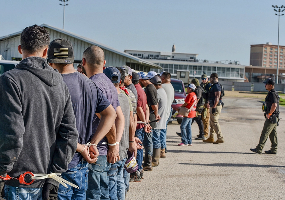 School-Level Responses: How Institutions Are Adapting - visual representation