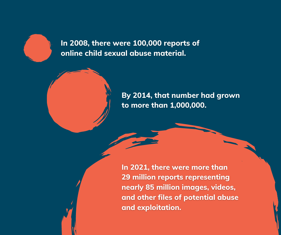 The Bigger Problem: Why We Can't Trust Private Companies With Safety - visual representation