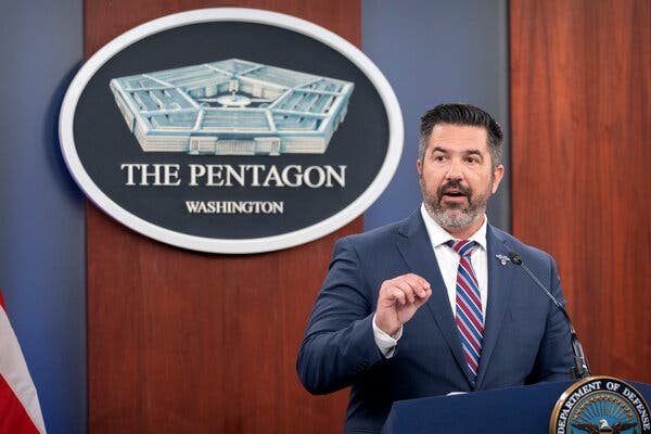 The Role of Social Media in Amplification - visual representation