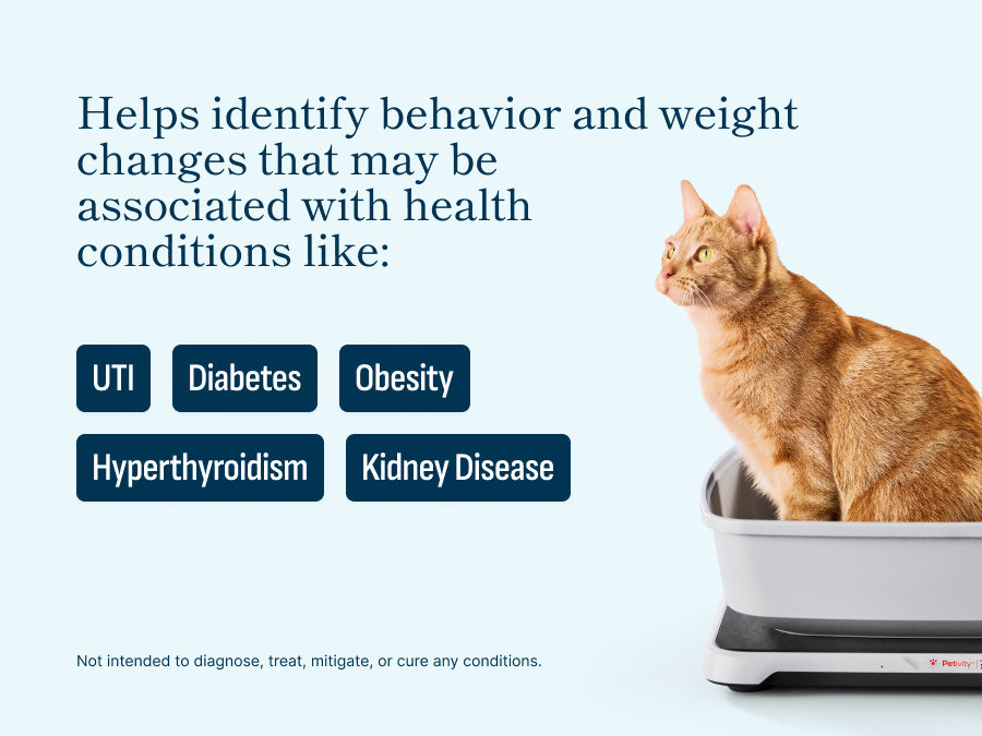Real-World Benefits - contextual illustration