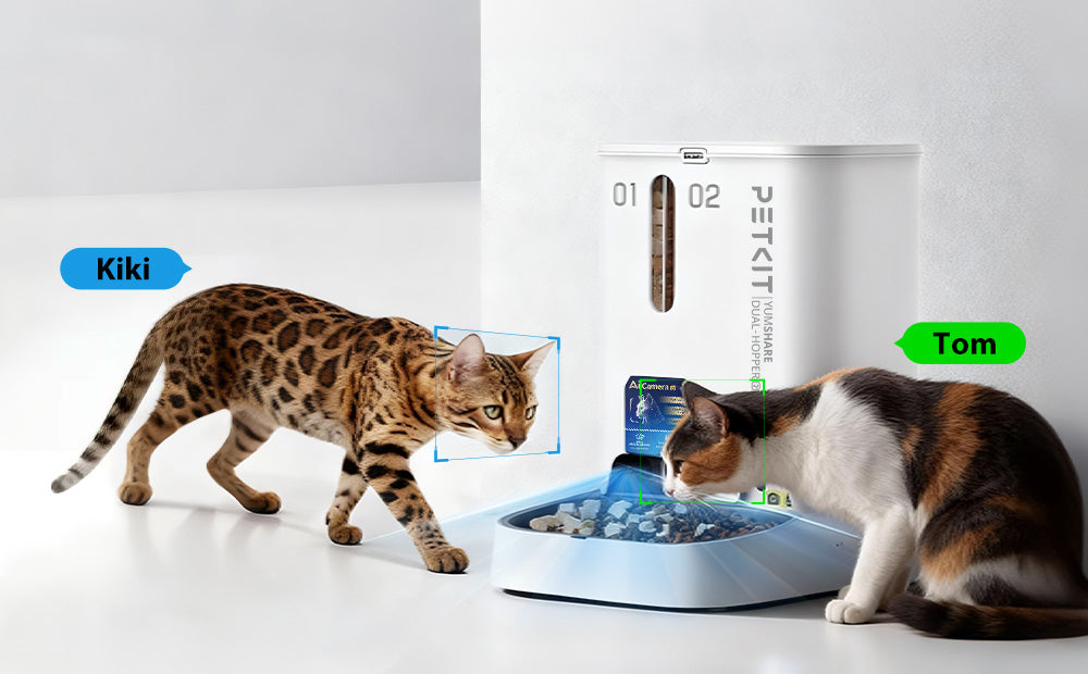 Technical Specifications Breakdown - visual representation