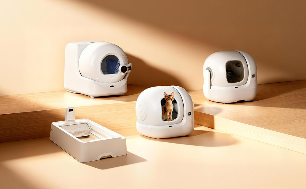 The Broader Trend: Pets as Io T Subjects - visual representation