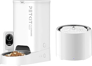 Common Questions and Concerns - visual representation