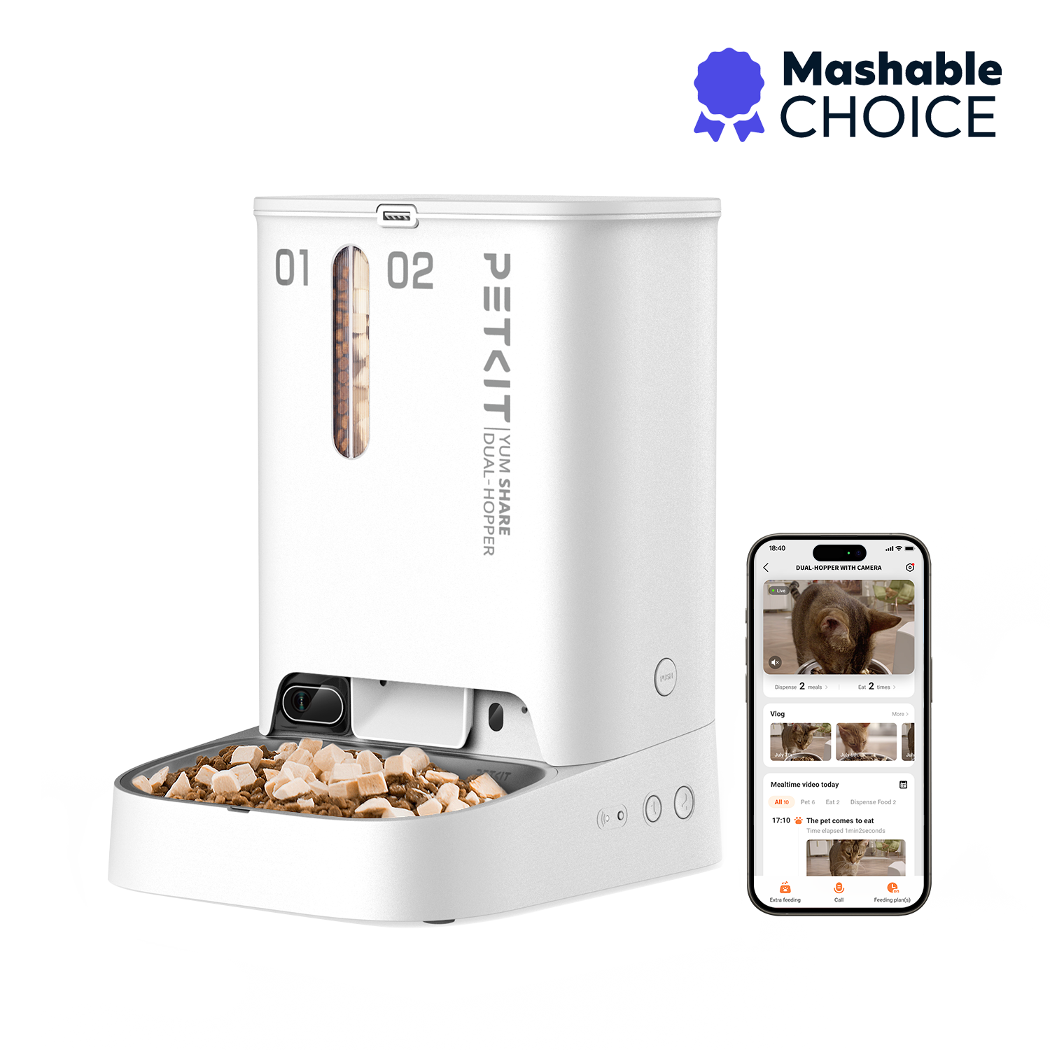 What Exactly Is the Yumshare Daily Feast? - contextual illustration