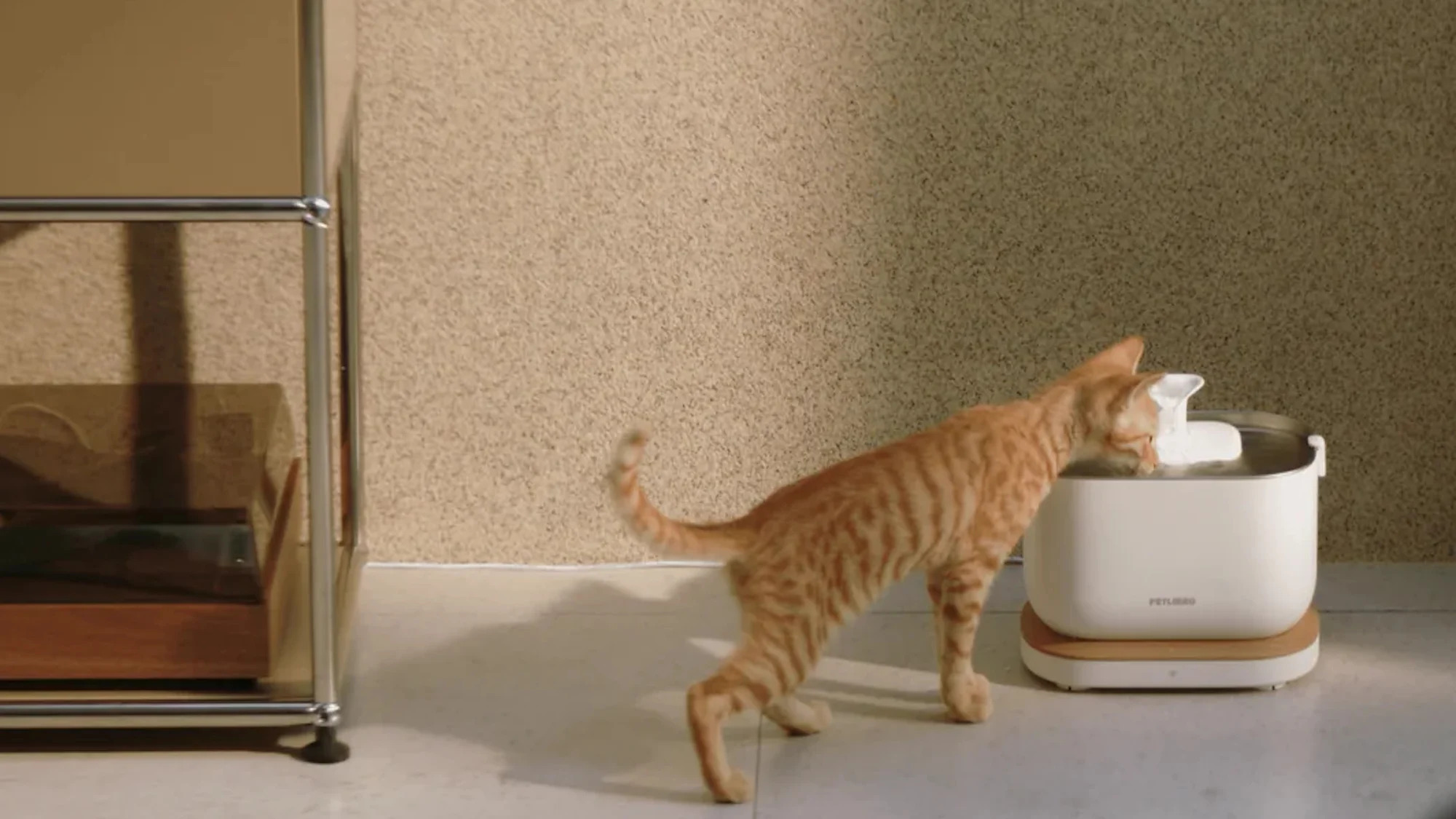 Product Warranty Coverage and Discount Implications - visual representation