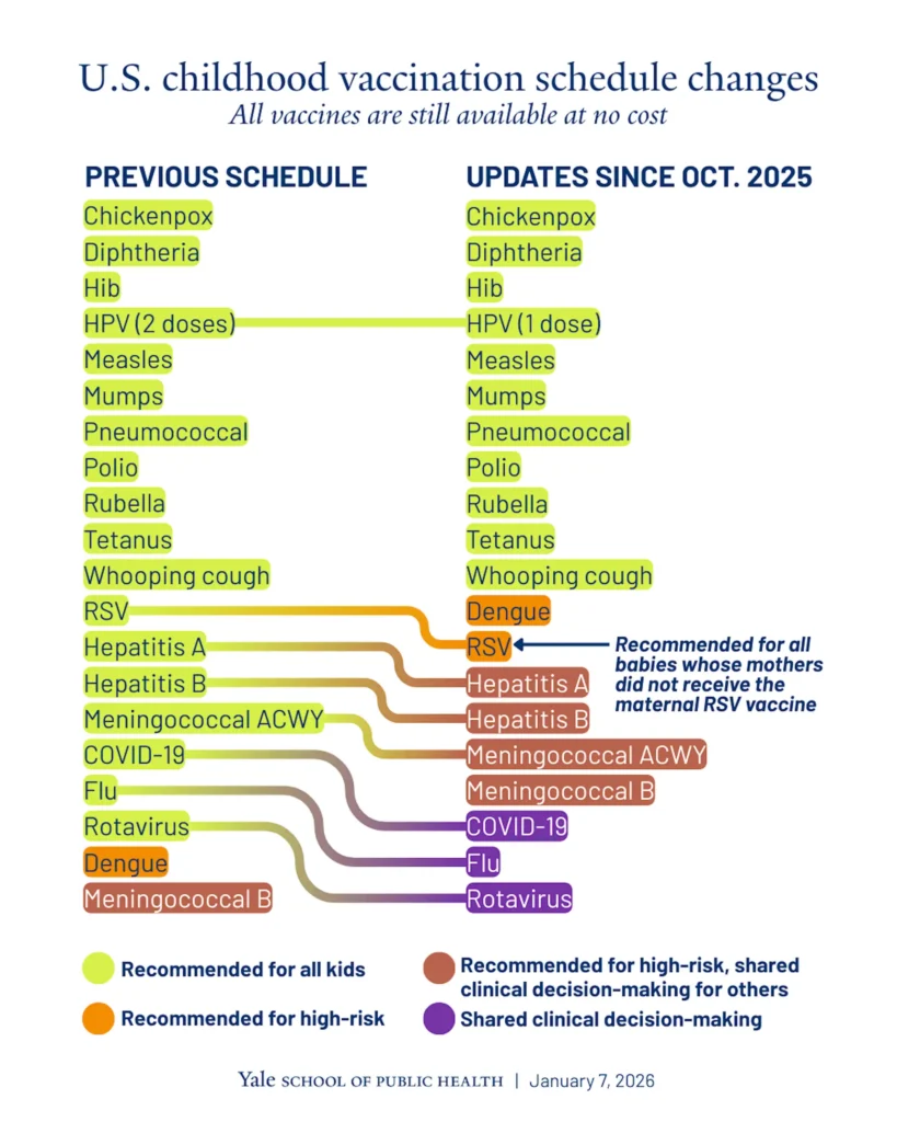 The Vaccine Schedule Cuts: What Actually Changed and Why It Matters - contextual illustration