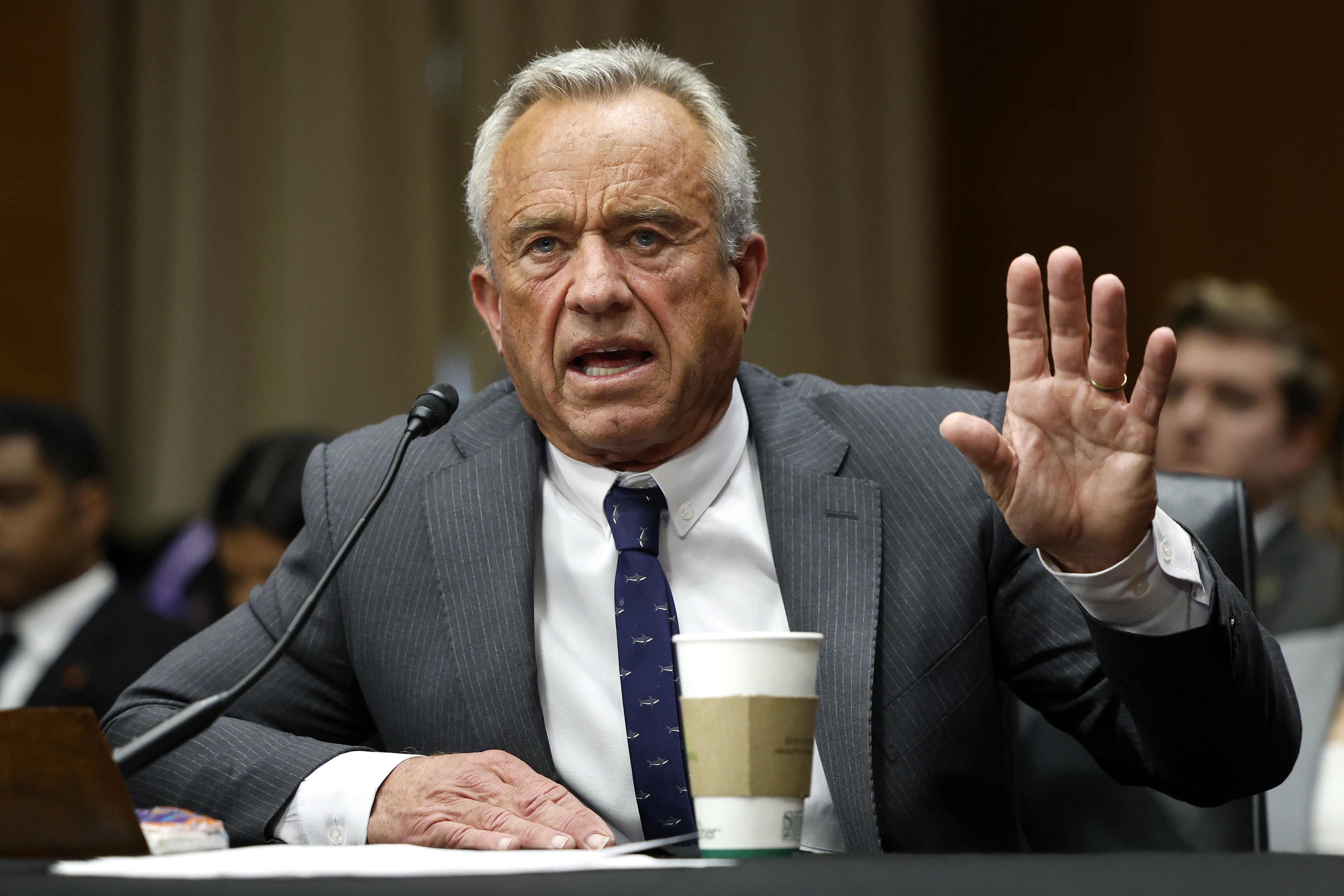 Defining the Timeline: How Fast Policies Are Being Implemented - visual representation