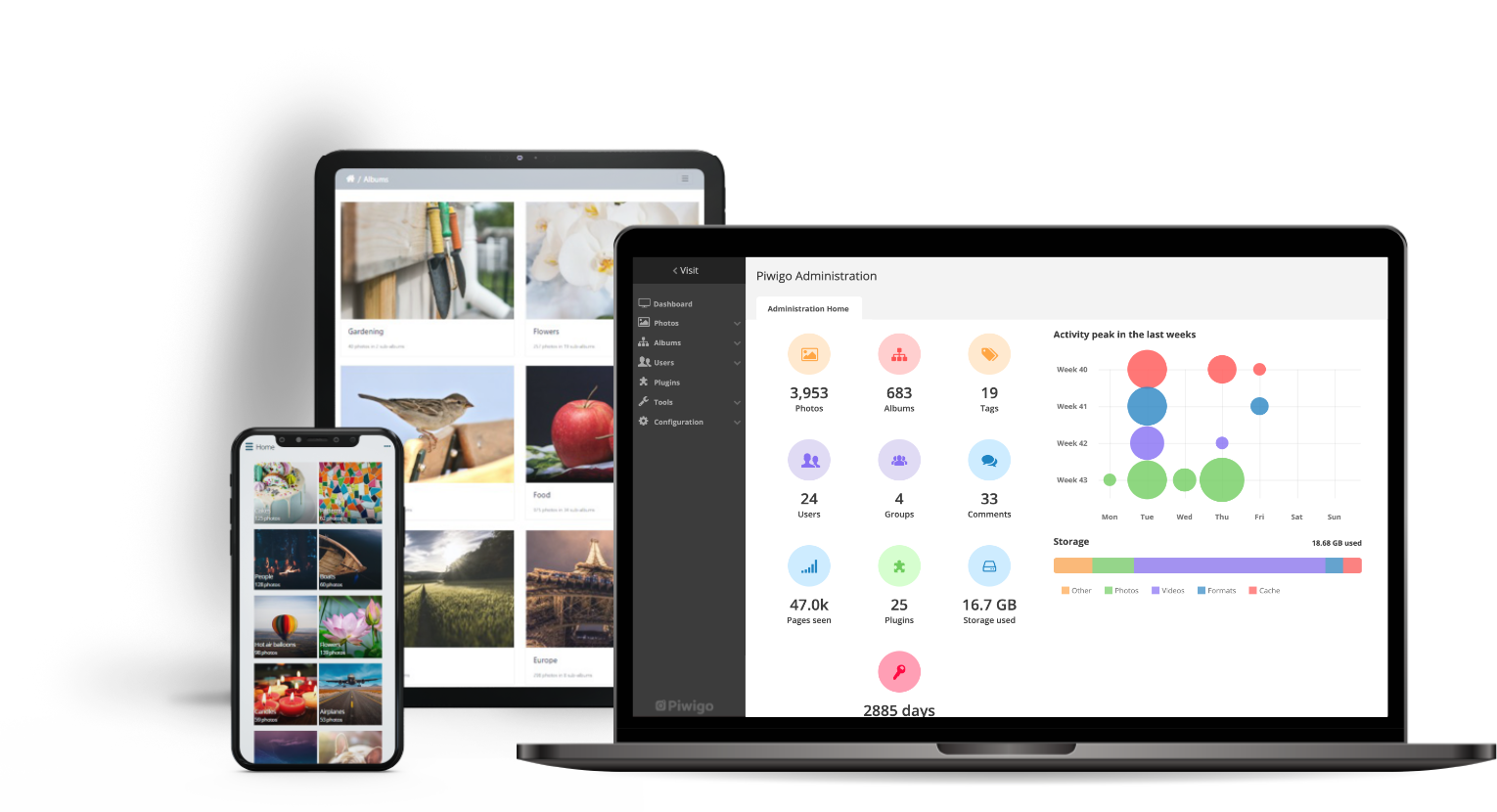 Why Consider Piwigo? - visual representation