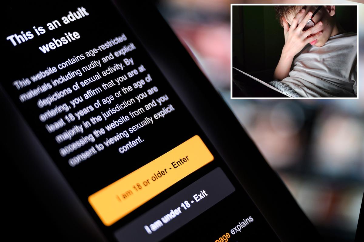 Legislative Momentum and State-by-State Expansion - visual representation