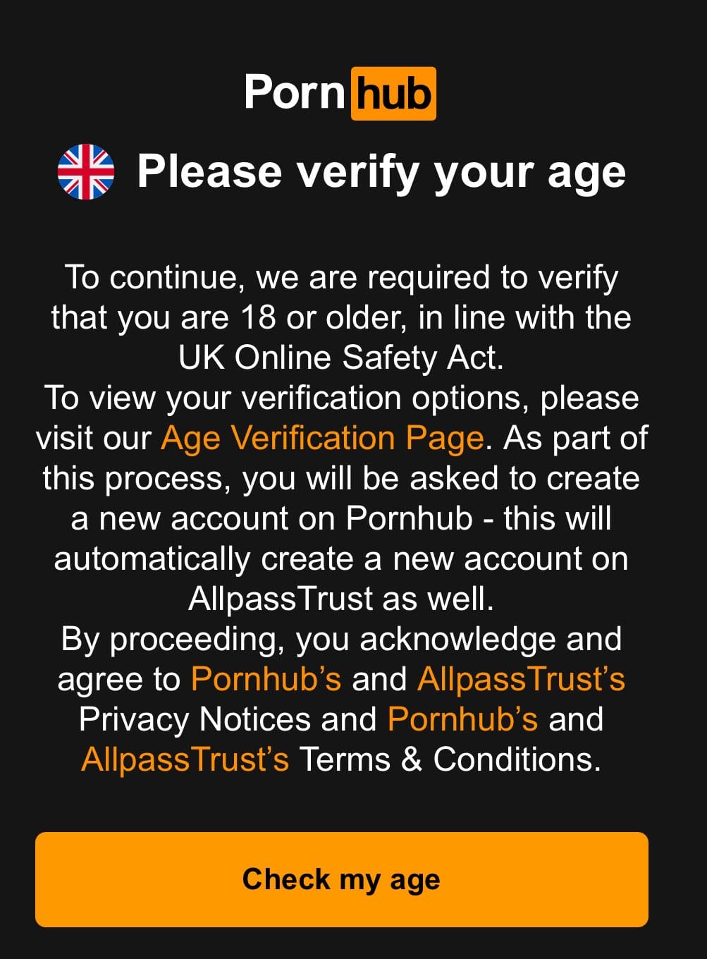 Why This Matters: Beyond Adult Content - visual representation