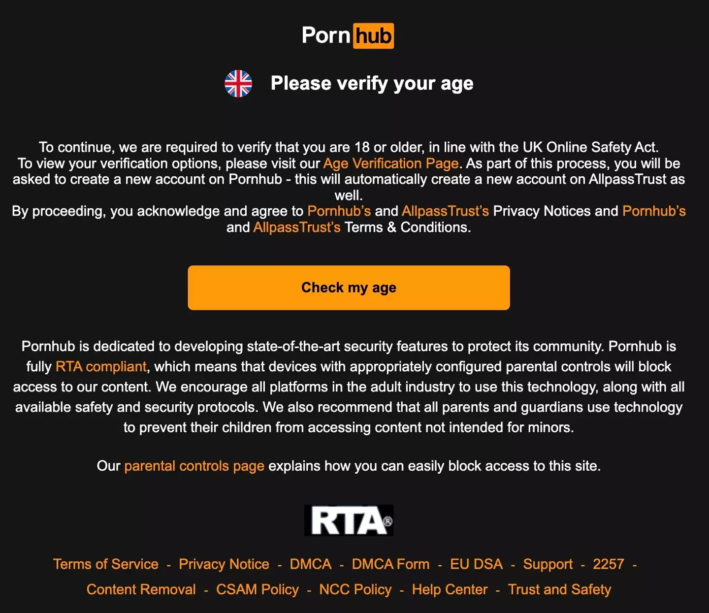 VPNs: The Obvious Workaround - visual representation