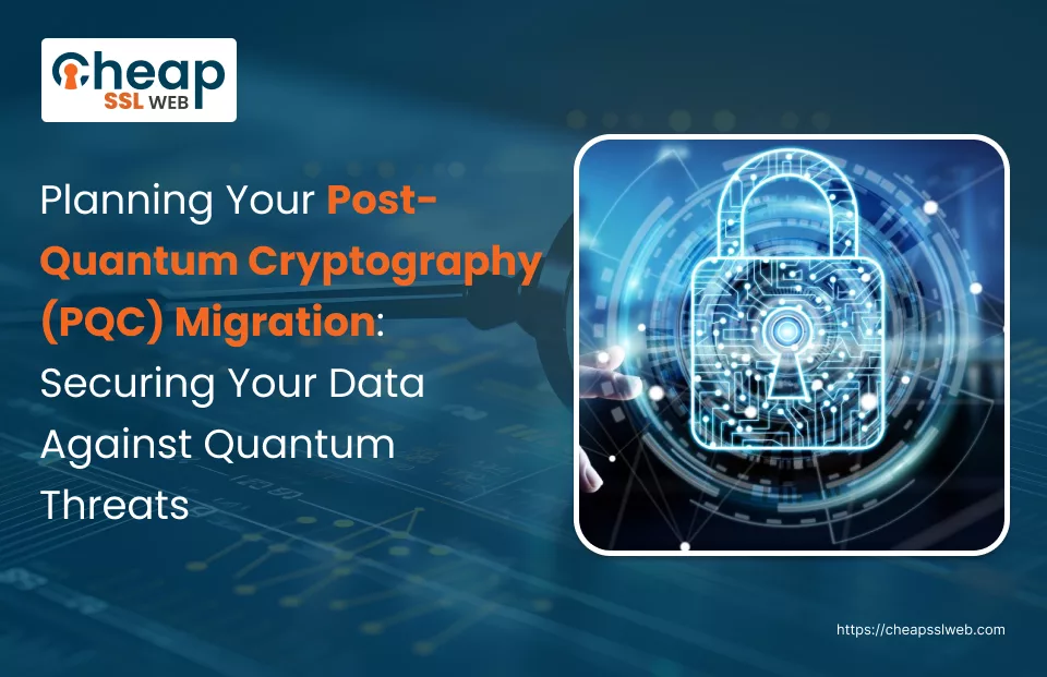 Assessing Your Current Cryptographic Surface - visual representation