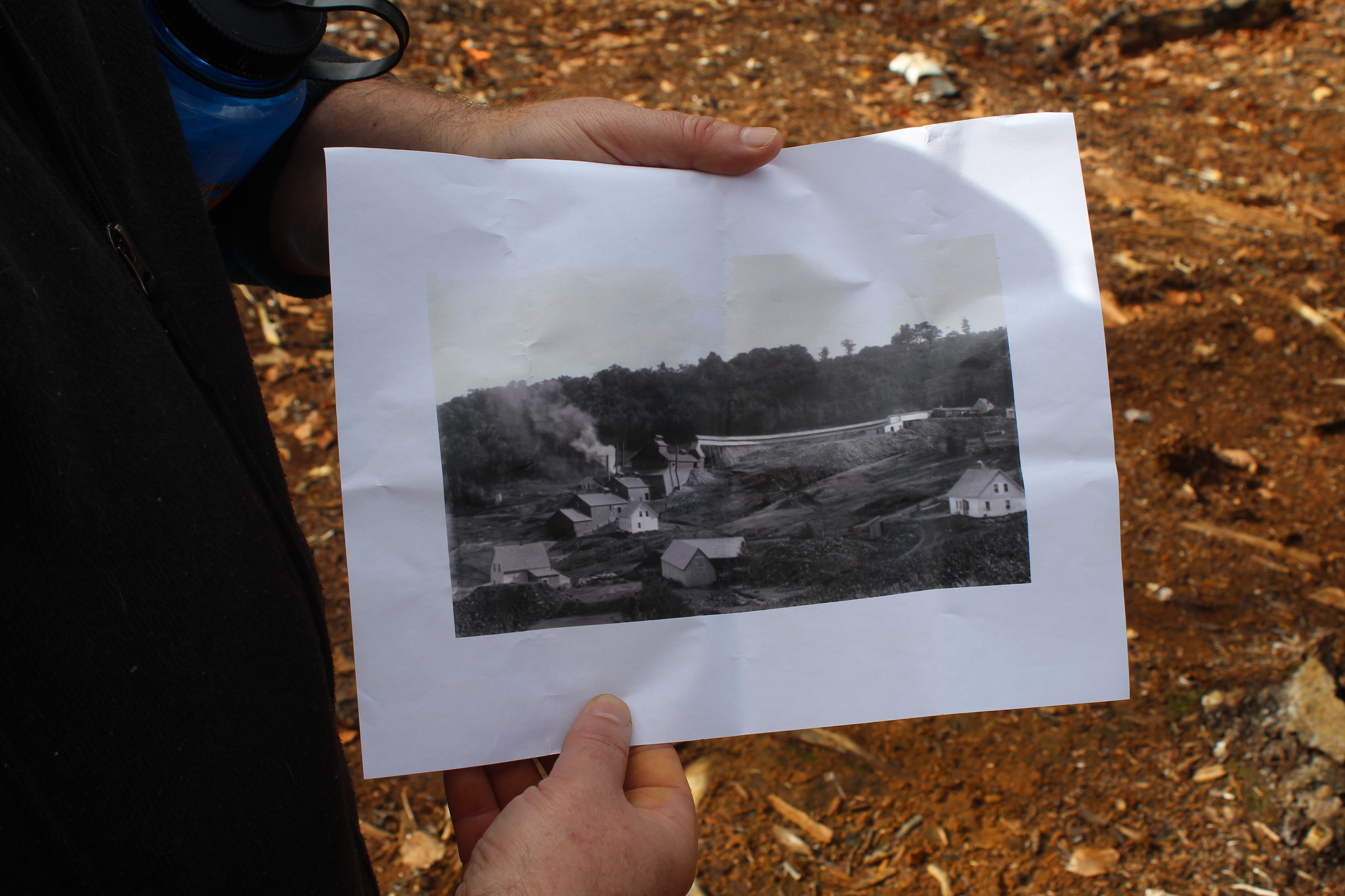 The Regulatory and Environmental Considerations - visual representation