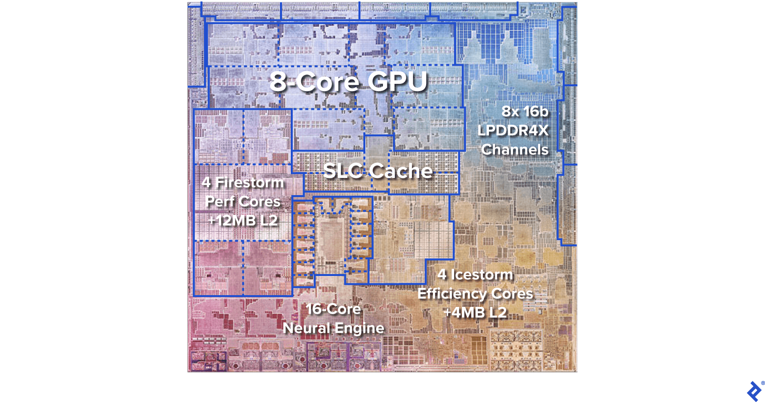 The MacBook Neo at a Glance - visual representation