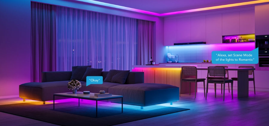 Home Essentials You Can't Miss - contextual illustration
