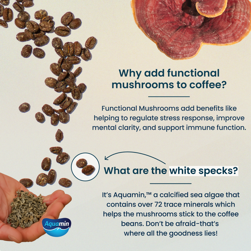 Future Trends in Mushroom Coffee - visual representation