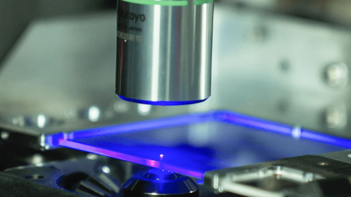 The Broader Context: Why Preservation Matters - visual representation