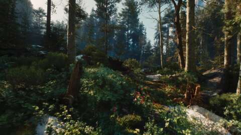 The Witcher 4: A New Standard in Storytelling - contextual illustration