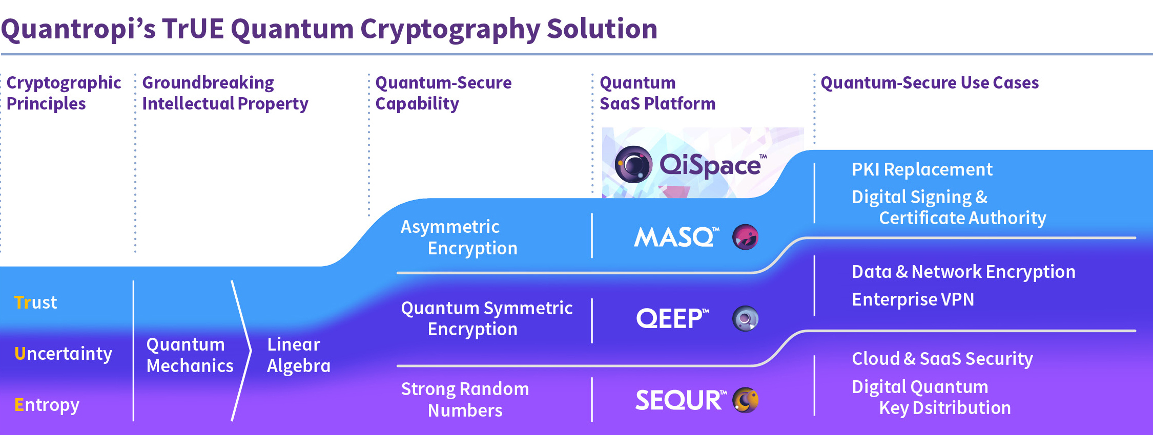 Recent Advances in Quantum Computing - visual representation