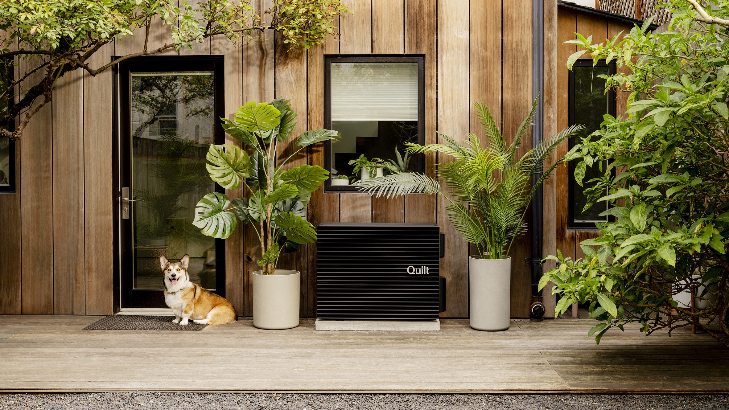 Future Roadmap and Product Evolution - visual representation