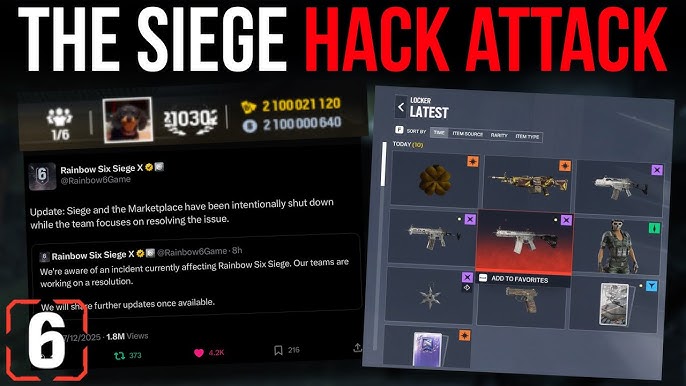 The Community Response and Recovery - visual representation