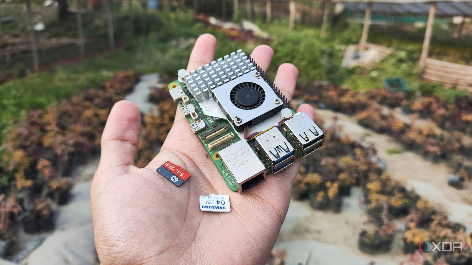 Conclusion: Normalcy and the New Normal - visual representation