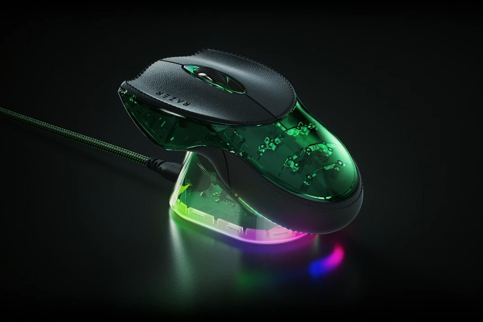 The Display Dock: Museum-Quality Presentation - visual representation