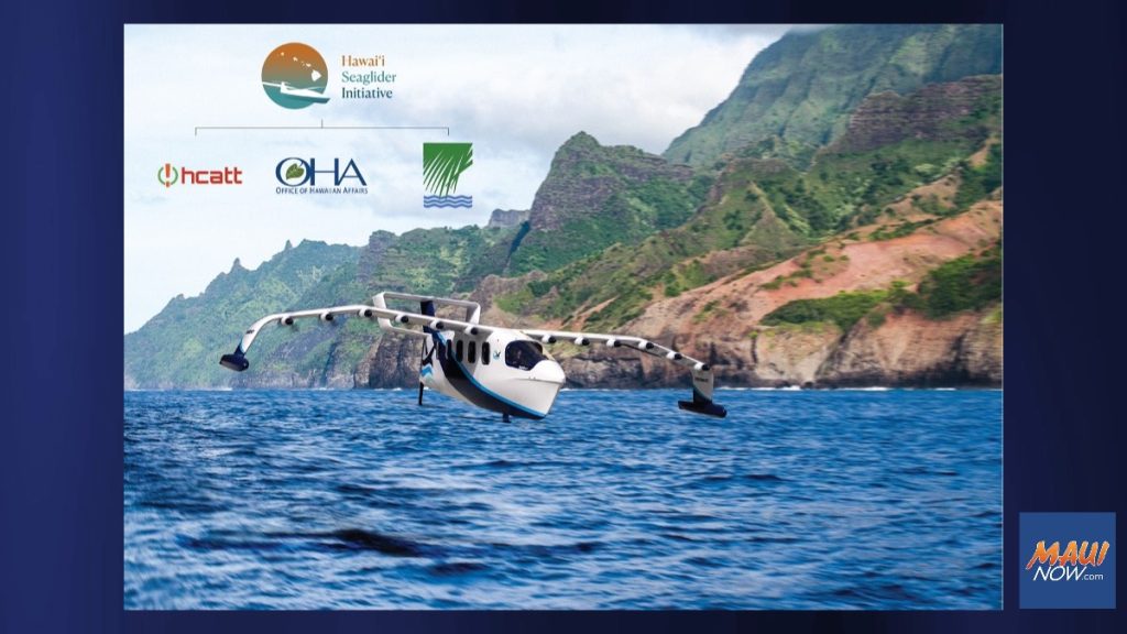 5. The Future of Seaglider Technology - visual representation