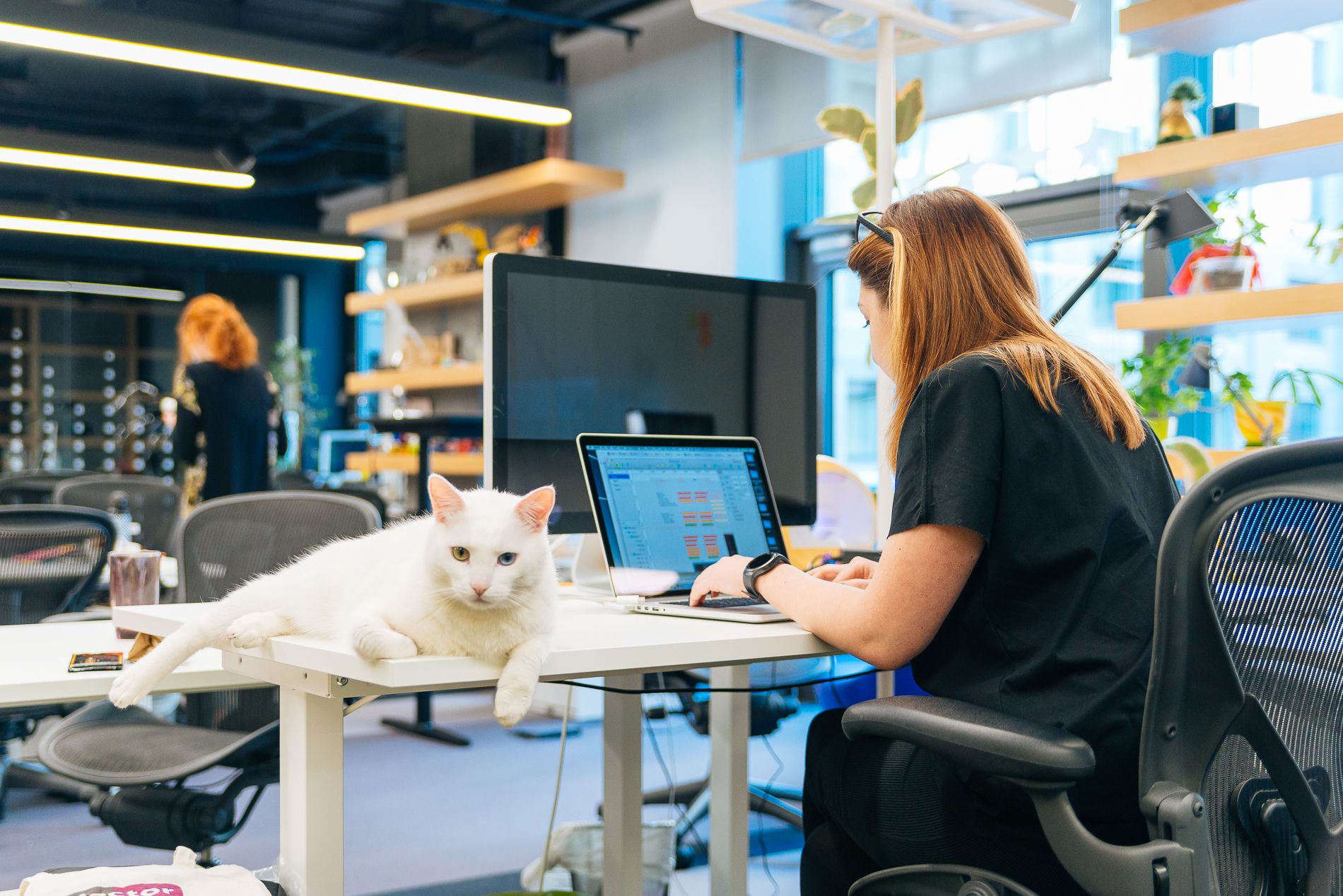 QA Checklist - visual representation