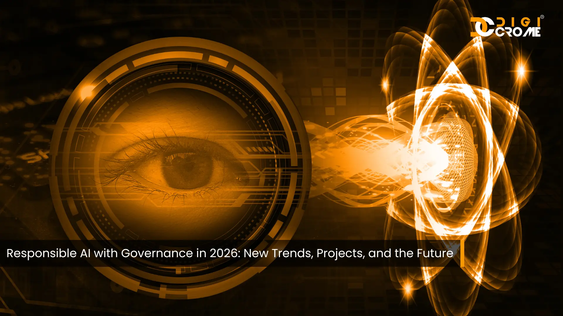 Section 11: The Human Element: Skills and Capability Building - visual representation