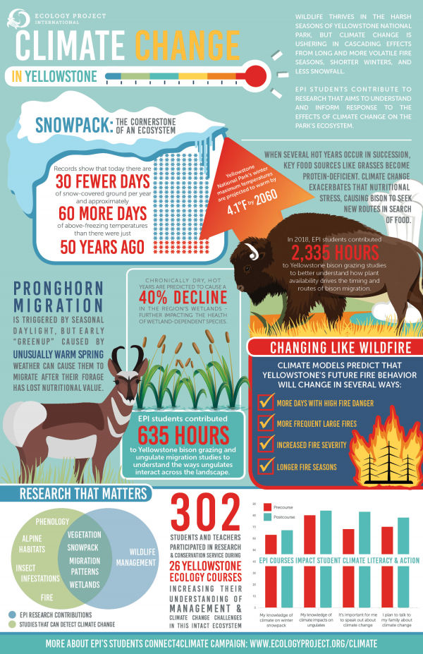 Practical Implications and Best Practices - contextual illustration