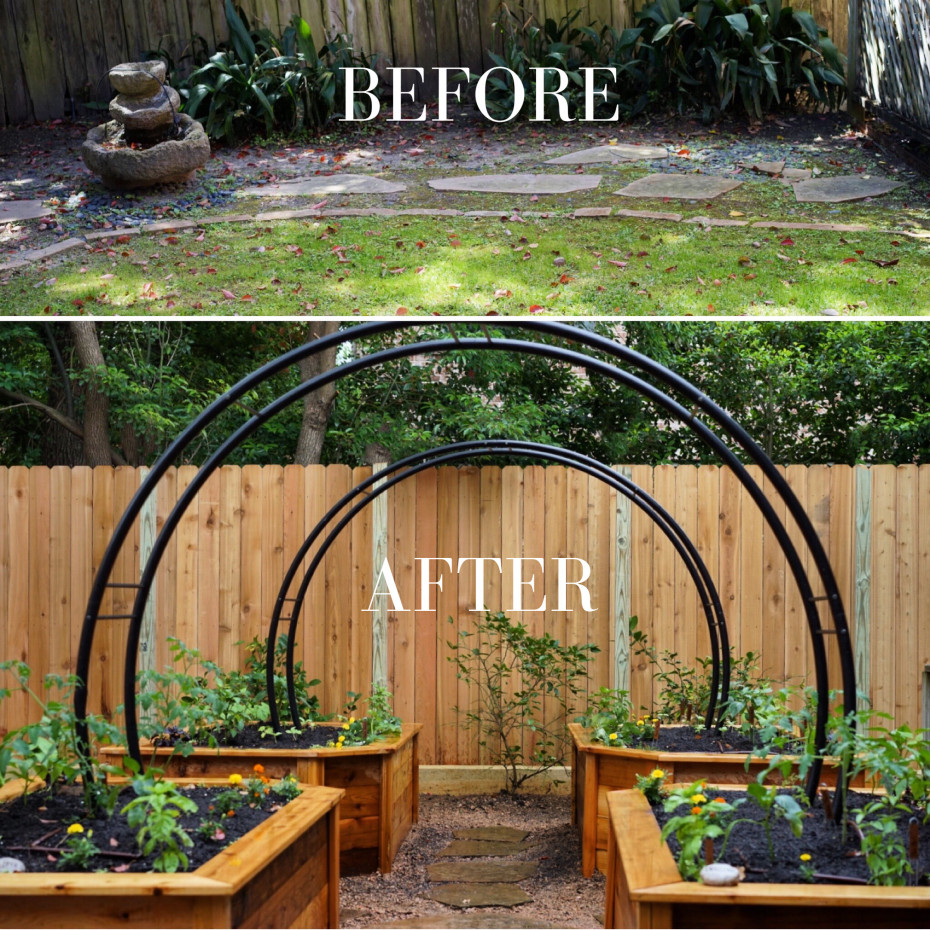 Case Study: Transforming My Yard - contextual illustration