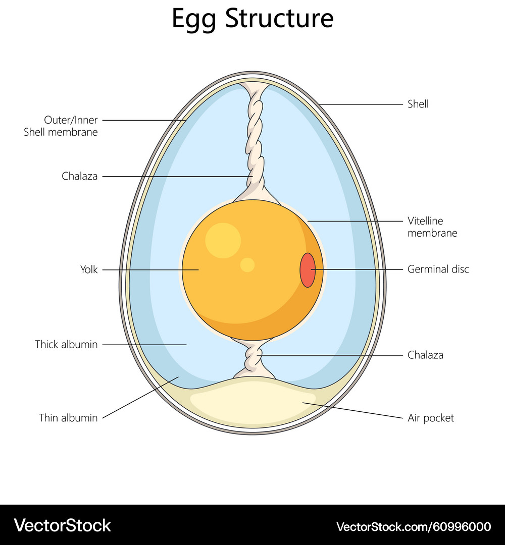 TL; DR - visual representation