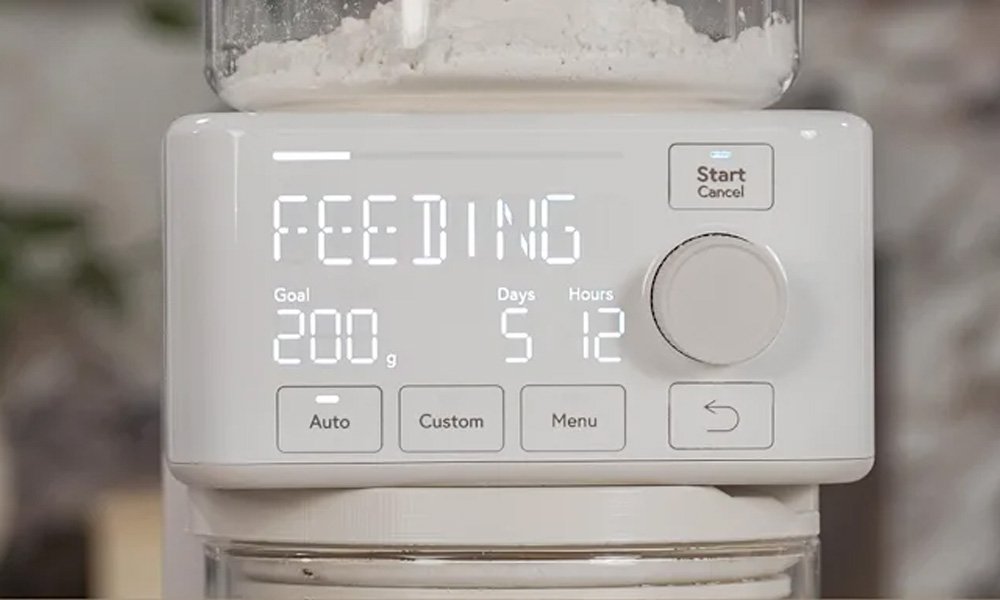 Enter the Sourdough Sidekick - contextual illustration