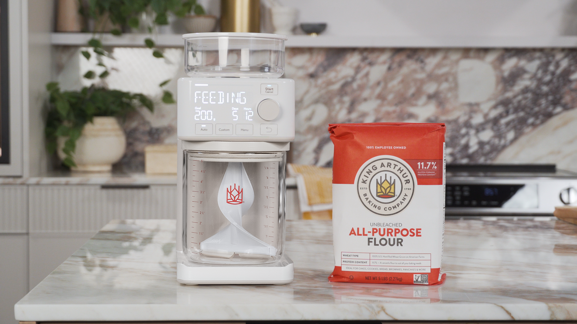 Future Trends in Automated Baking - visual representation
