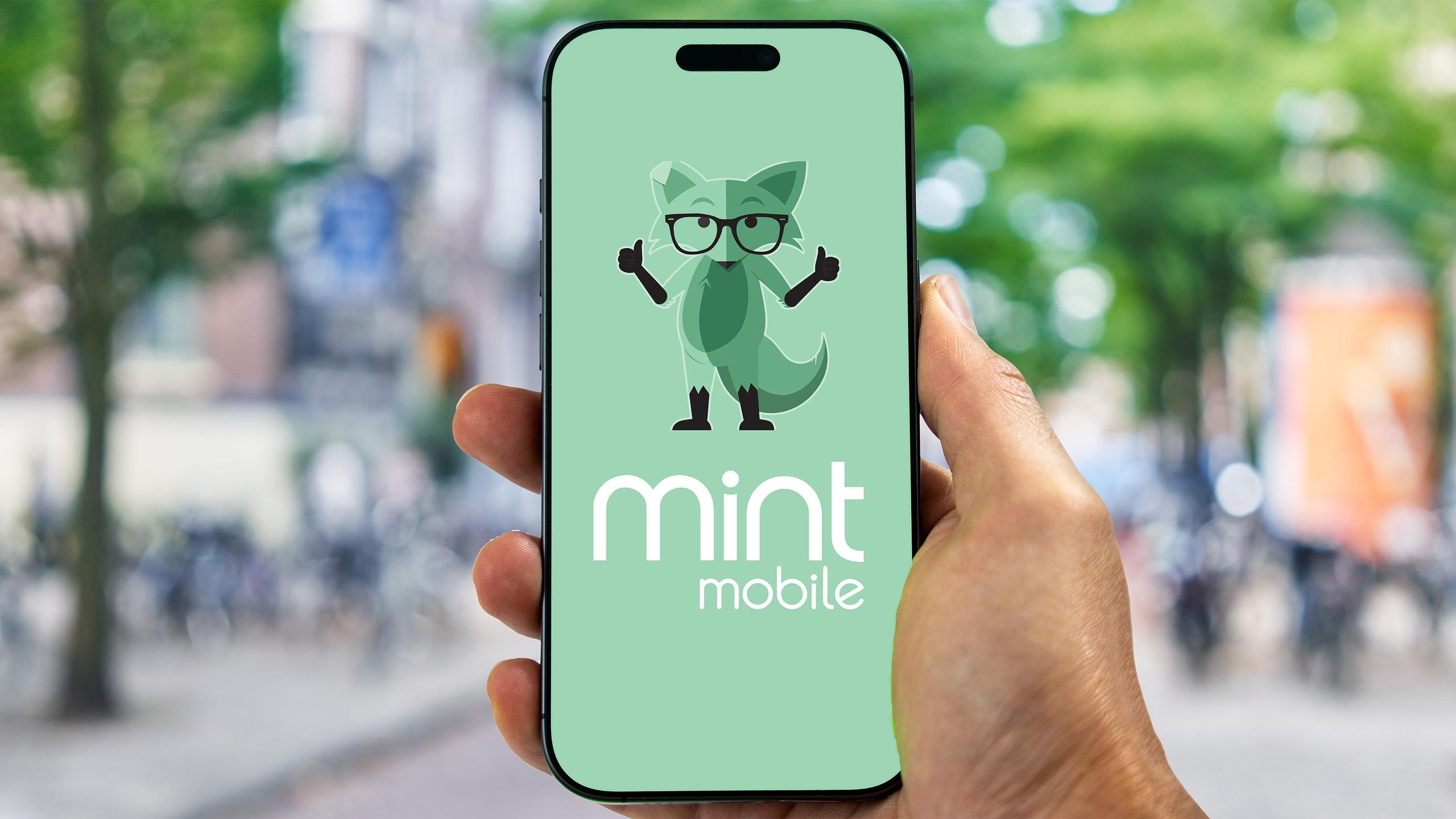 FAQ - visual representation