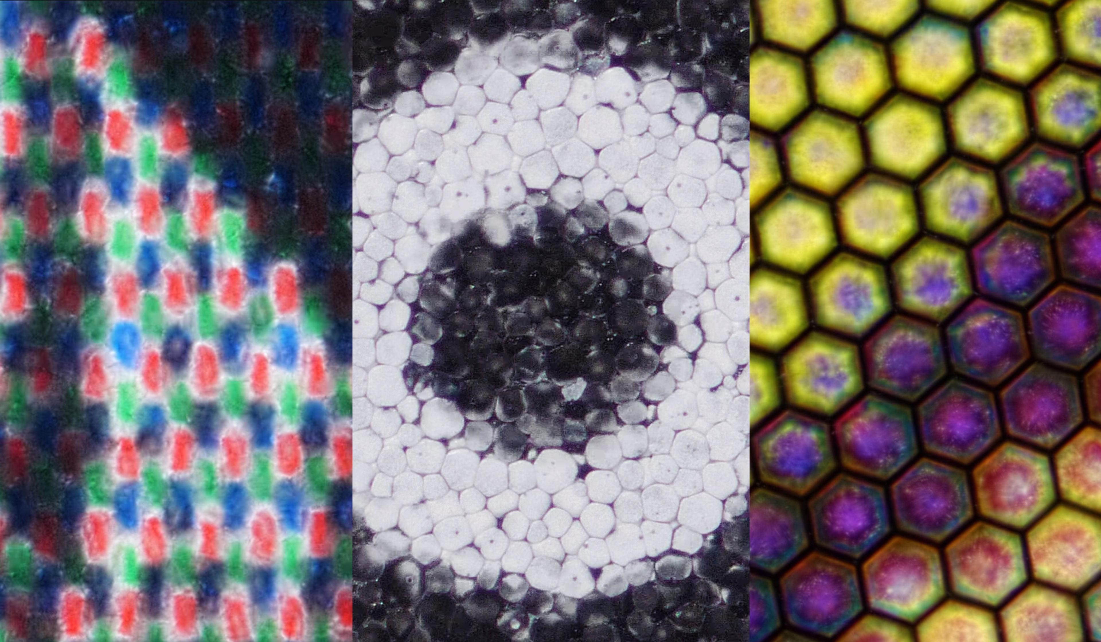 Introduction to E Ink Technology - contextual illustration