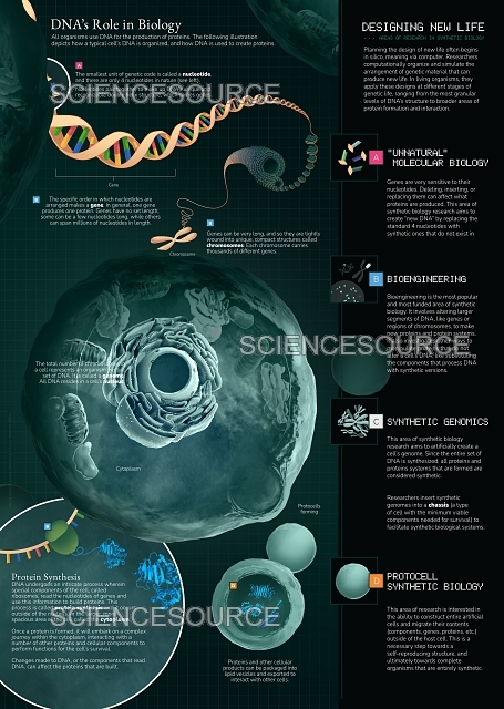 TL; DR - visual representation