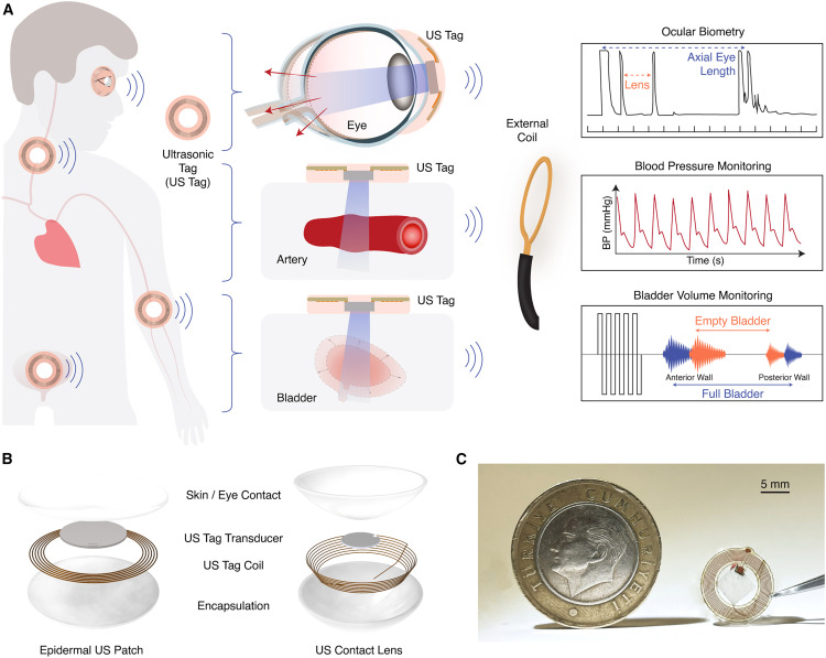 Future Trends and Recommendations - contextual illustration