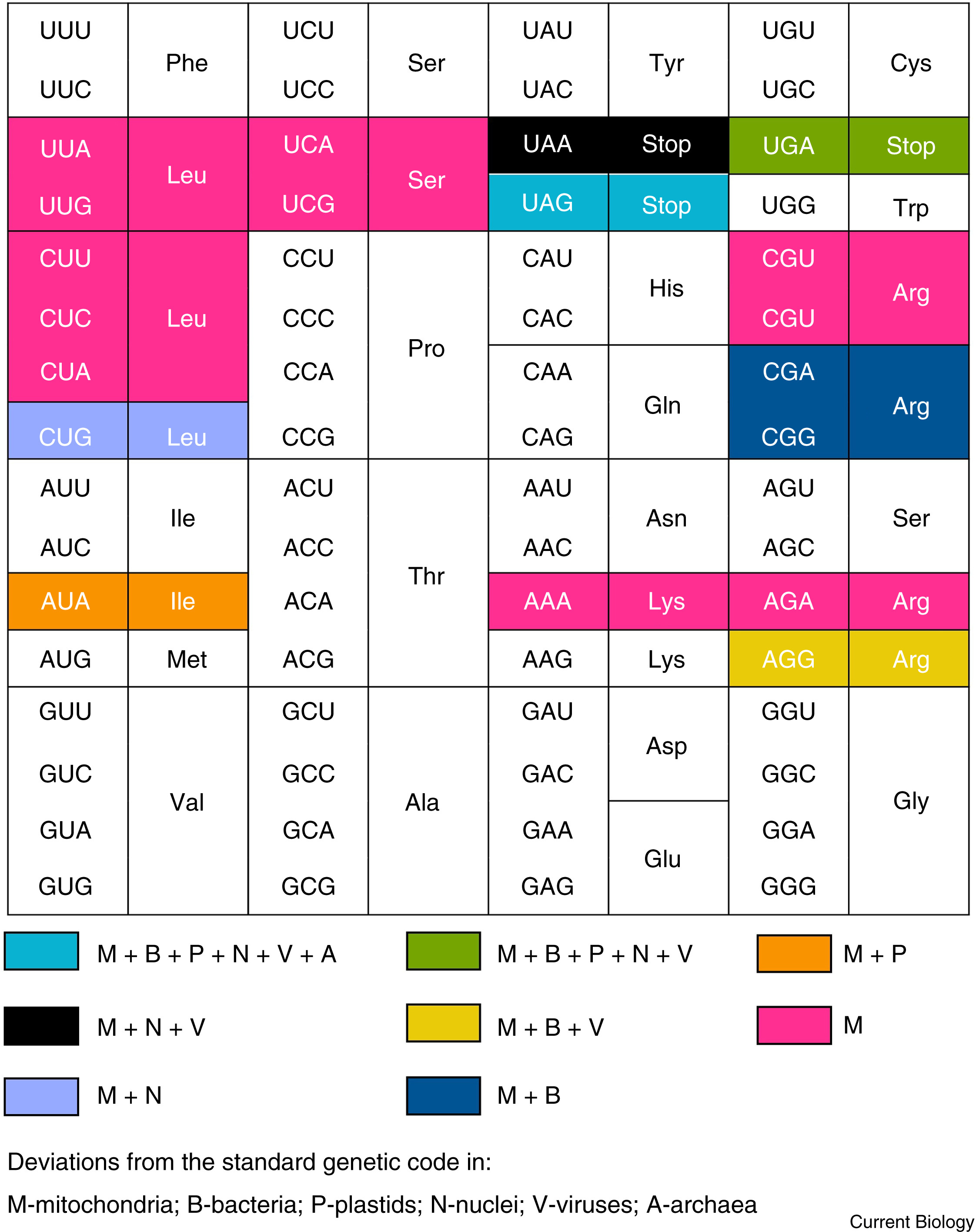 The Best Tools for Genetic Engineering at a Glance - visual representation