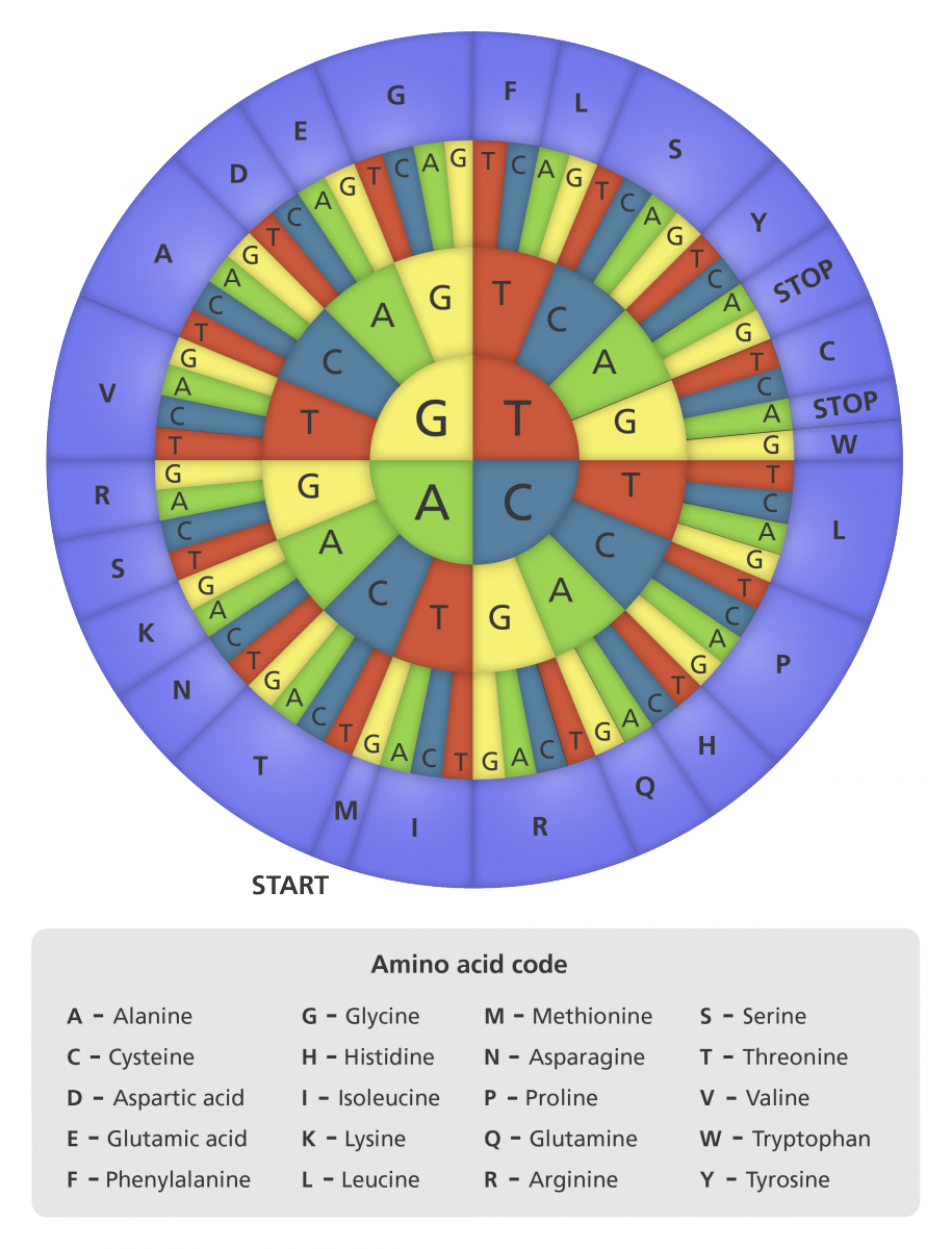 FAQ - visual representation