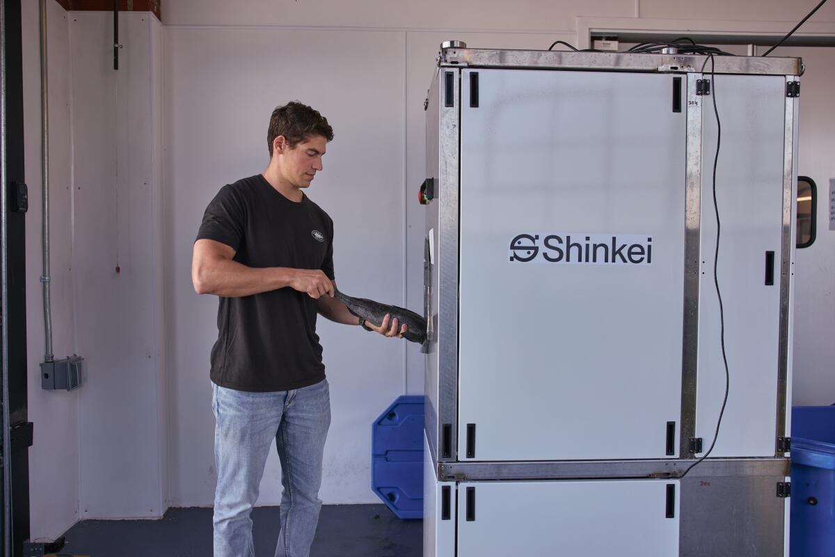 Shinkei Systems: A New Approach - contextual illustration