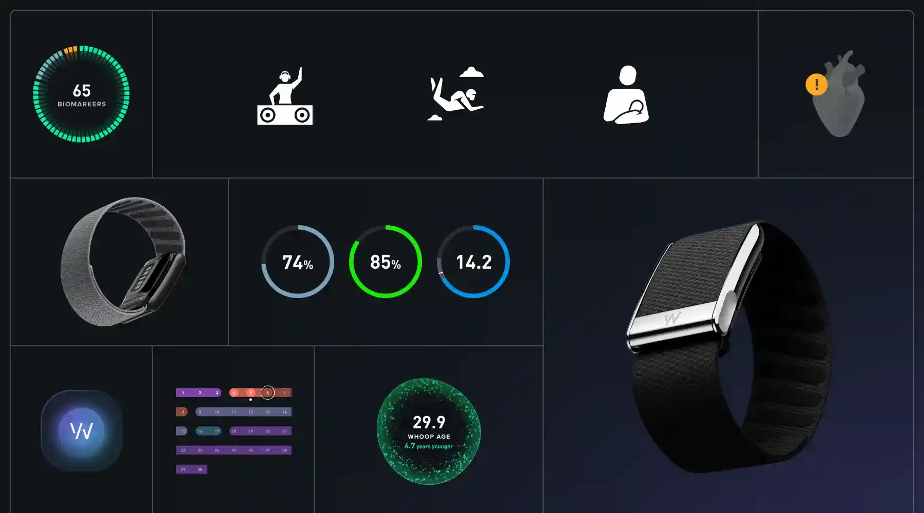 The Role of Whoop in the Broader Health Tech Landscape - visual representation