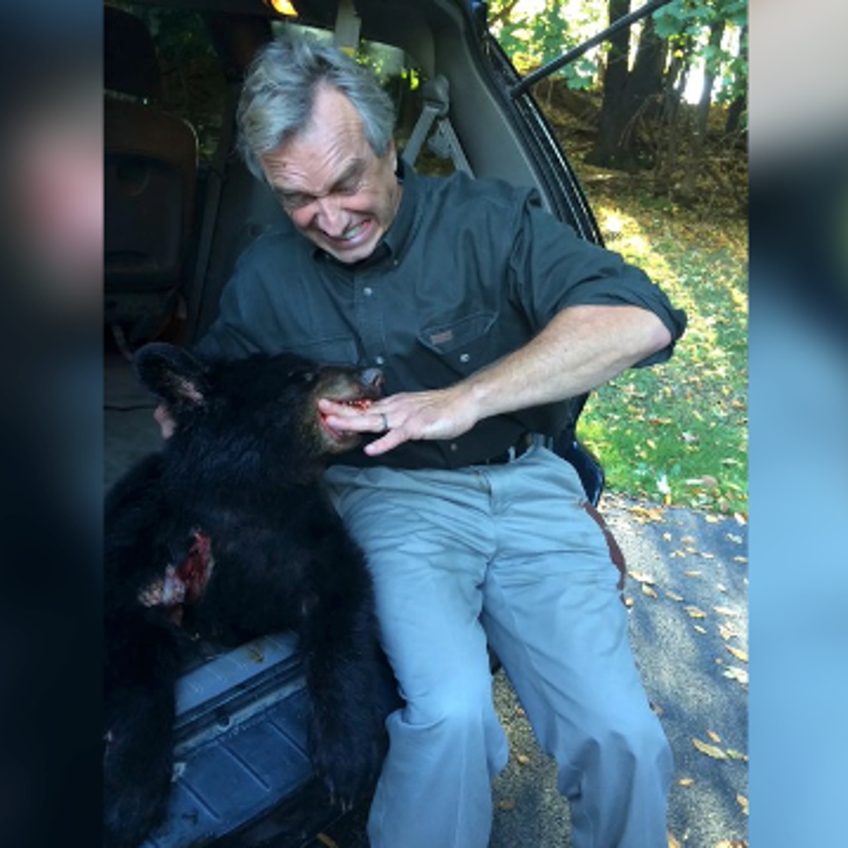 The Role of Public Records in Accountability - visual representation