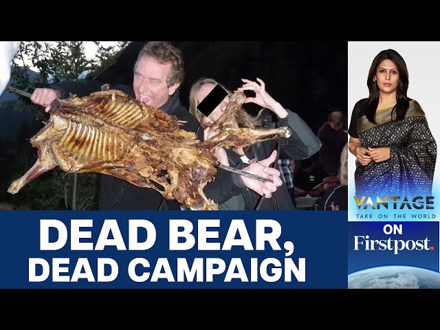 The Park, the Public, and the Question of Responsibility - visual representation