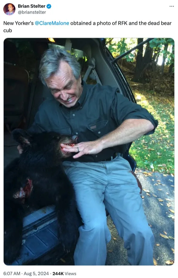 Future Implications and Broader Wildlife Concerns - visual representation